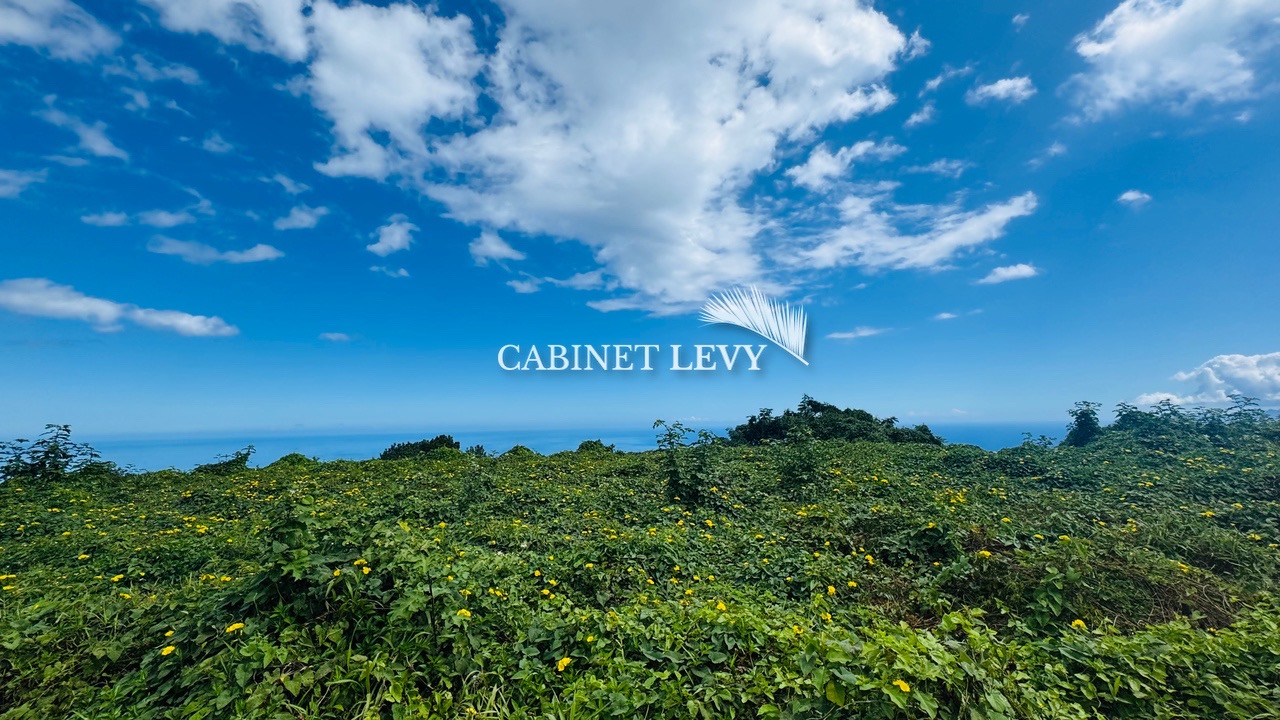 A vendre un superbe terrain 2500m2 PLAT Punaauia hauteur.