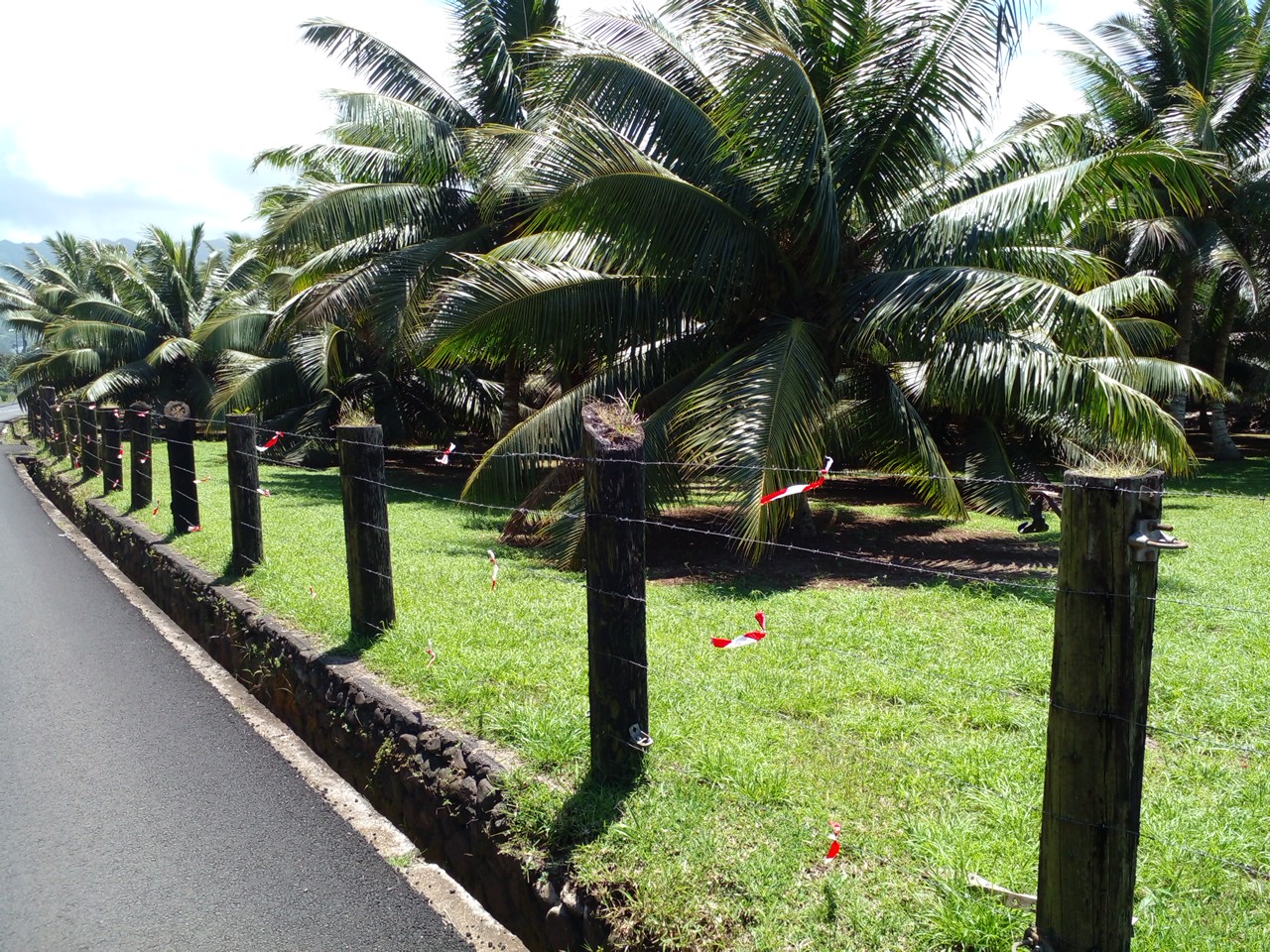 TARAVAO A LOUER TERRAIN COMMERCIAL BORD DE ROUTE