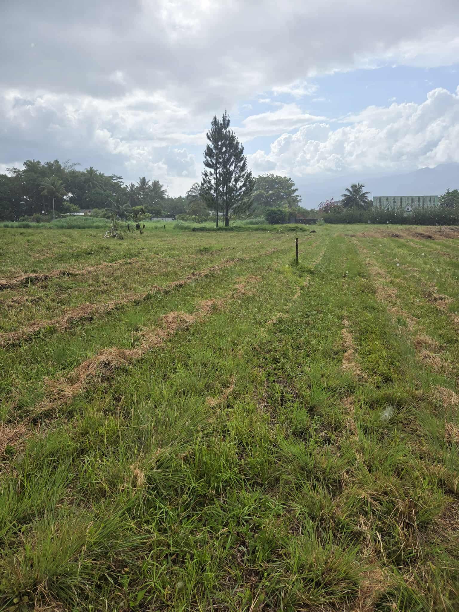 TERRAIN À TARAVAO 2500m2