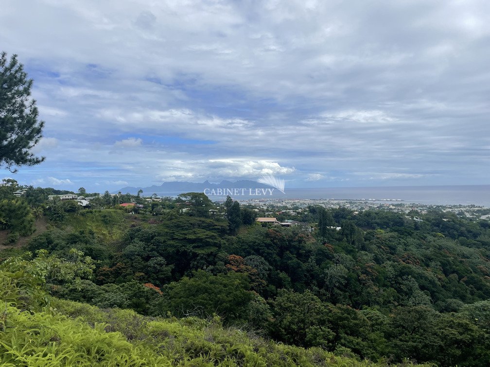 À VENDRE - TERRAIN 5.3 HA - PIRAE - VALLÉE DE NAHOATA