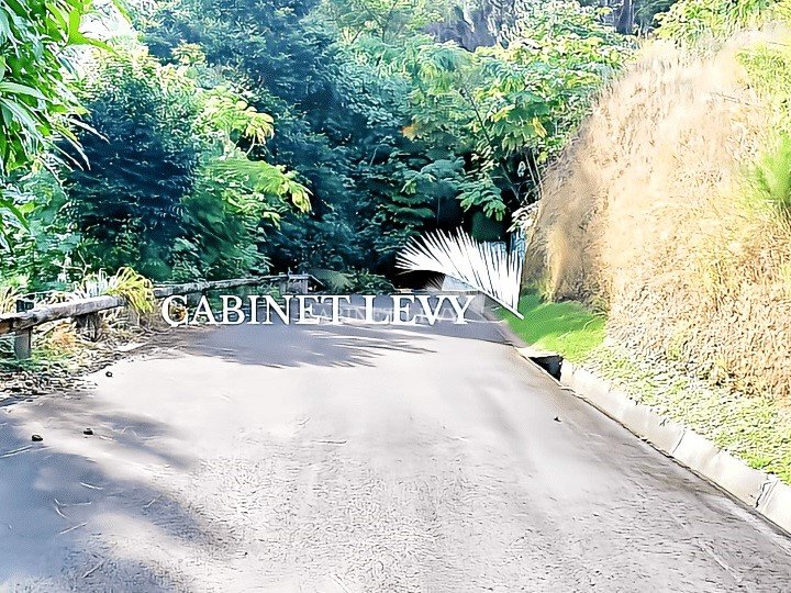 Terrain Exceptionnel de 4 Hectares à Vendre sur les Hauteurs de Punaauia