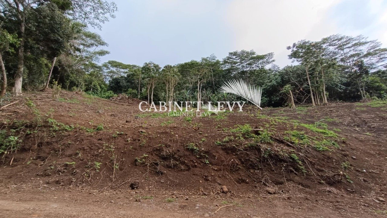 Terrain Constructible de 1600m² à Vendre à Maatea, Moorea - Lot D