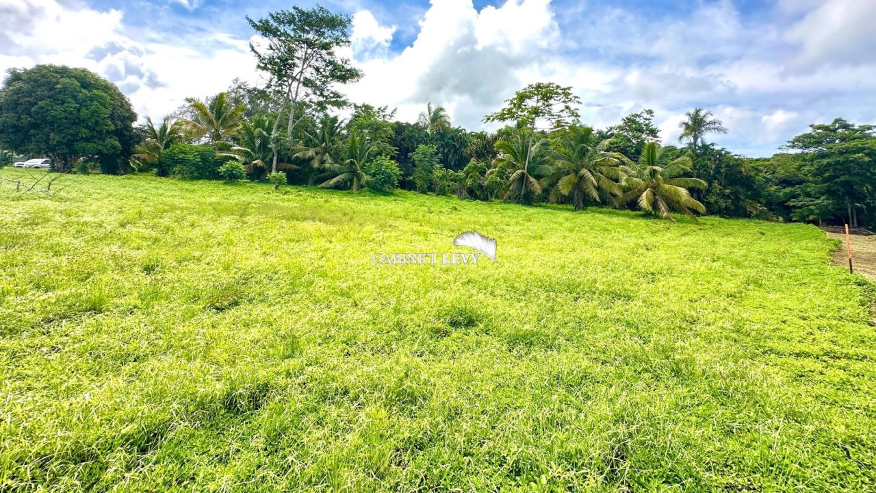 TERRAIN À TARAVAO 2500m2
