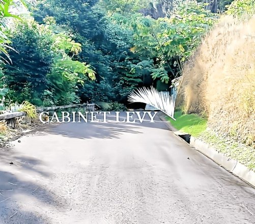 Terrain Exceptionnel de 4 Hectares à Vendre sur les Hauteurs de Punaauia