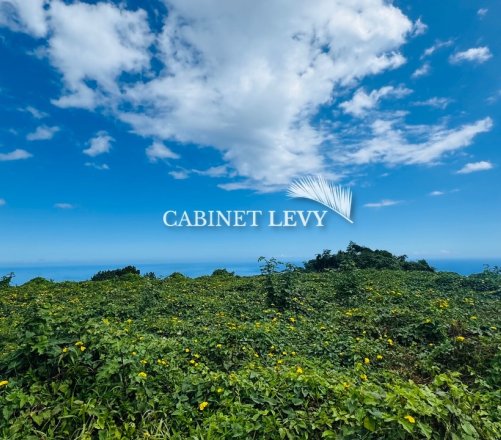 A vendre un superbe terrain 2500m2 PLAT Punaauia hauteur.