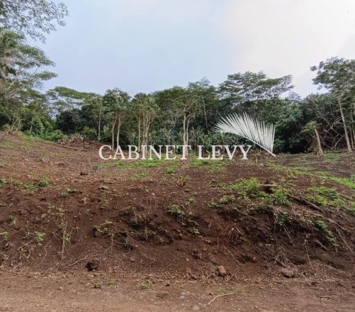 Terrain Constructible de 1600m² à Vendre à Maatea, Moorea - Lot D