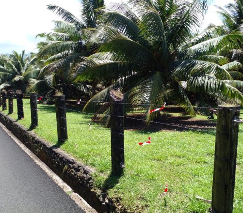 TARAVAO A LOUER TERRAIN COMMERCIAL BORD DE ROUTE