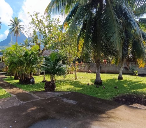 MOOREA/VAIANAE - A LOUER MAISON DE TYPE F3