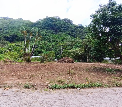 A Vendre, Terrain de 2136 m2 à AFAREAITU