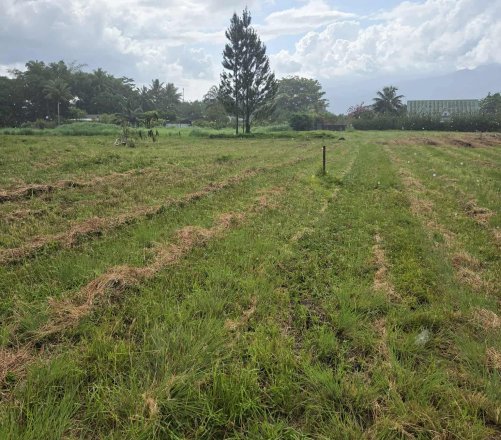 TERRAIN À TARAVAO 2500m2